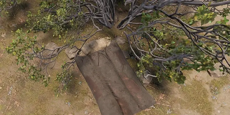 A Sleeping Bag under a bush